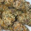 Lieutenant Runtz cannabis strain