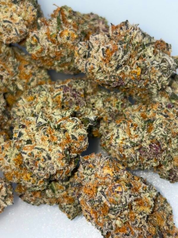 Lieutenant Runtz cannabis strain
