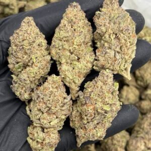 Alien Mac AAA+ Cannabis Strain
