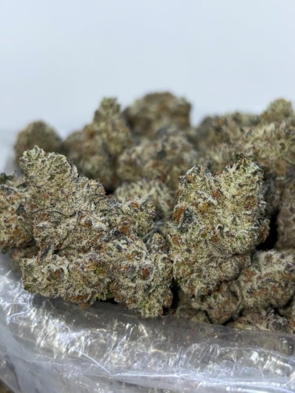 Dom Berrignon cannabis strain
