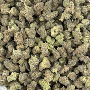 Forum Cookies Indoor Cannabis Strain