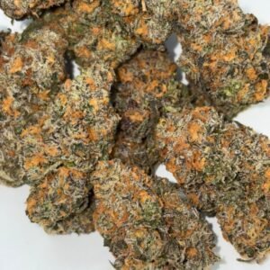 ,,Wildberry Slurmz, Wildberry Slurmz Cannabis Strain, Wildberry Slurmz Strain, Wildberry Slurmz Flower, Wildberry Cannabis Strain, Slurmz Cannabis Strain, Wildberry Slurmz Cannabis, Cannabis Flower, Indoor Cannabis Flower, Premium Cannabis Flower, Berry Cannabis Strain, Fruity Cannabis Strain, Sweet Cannabis Flower, Berry Flavor Cannabis, Cannabis Buds, Cannabis Cultivar, THC Flower, Cannabis Strain Collection