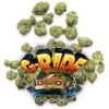 G-RIDE by Jungle Boys, G-RIDE Cannabis Flower, G-RIDE Strain, G-RIDE Flower, Jungle Boys G-RIDE, Jungle Boys Cannabis, Jungle Boys Flower, Motor Breath x I95, G-RIDE Hybrid, Cannabis Flower, Premium Cannabis Flower, THC Flower, Indoor Cannabis Flower, G-RIDE Cannabis Strain, Sour Cannabis Strain, Earthy Cannabis Flower, Kush Cannabis, Fruity Cannabis Flower, Terpene Rich Cannabis, Cannabis Buds, Exotic Cannabis Strain, G-RIDE THC Flower, Jungle Boys Strain, Cannabis Cultivar, Cannabis Flower Strain