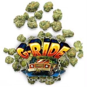 G-RIDE by Jungle Boys, G-RIDE Cannabis Flower, G-RIDE Strain, G-RIDE Flower, Jungle Boys G-RIDE, Jungle Boys Cannabis, Jungle Boys Flower, Motor Breath x I95, G-RIDE Hybrid, Cannabis Flower, Premium Cannabis Flower, THC Flower, Indoor Cannabis Flower, G-RIDE Cannabis Strain, Sour Cannabis Strain, Earthy Cannabis Flower, Kush Cannabis, Fruity Cannabis Flower, Terpene Rich Cannabis, Cannabis Buds, Exotic Cannabis Strain, G-RIDE THC Flower, Jungle Boys Strain, Cannabis Cultivar, Cannabis Flower Strain