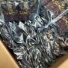 $INCO 2G Disposable, $INCO Cannabis, $INCO 2G Vape, $INCO Disposable, 2G Cannabis Disposable, 2G Disposable Vape, Cannabis Disposable, Cannabis Vape, 1G Pre-Rolls, 1G Cannabis Pre-Rolls, Two 1G Pre-Rolls, Cannabis Pre-Rolls, Pre-Rolled Flower, Exotic Cannabis Flower, Premium Cannabis Flower, Cannabis Flower, Terpene-Rich Flower, Cannabis Product Bundle, Disposable and Pre-Rolls, 2G Vape and Pre-Rolls, Cannabis Multi-Product Pack, $INCO 2G + 2 1G Pre-Rolls