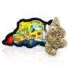 BIG BOY DRO Cannabis Flowers