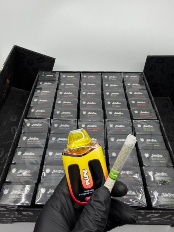 Plume Juice Box 2G Disposable
